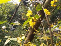 -狼山风景名胜区