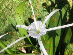 -三亚南山文化旅游区