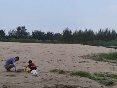 -东郊湿地公园
