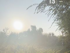 -滨河世纪广场公园