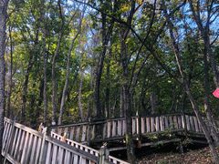 -帽儿山国家森林公园