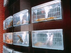 -皇冠明珠鱼翅楼(水上公园店)