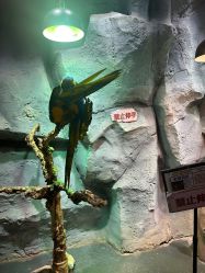 -Zoolung Zoolung动物主题公园(海信广场店)