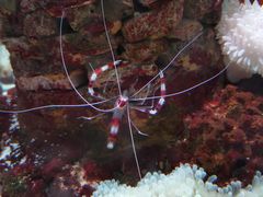 -太平洋海底世界