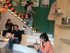 用餐区-飞行喵MR PILOT|猫舍·猫咖(静安大融城店)