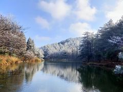 -四明山国家森林公园