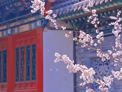 -迎泽公园