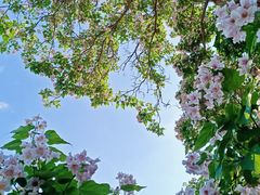 -元大都城垣遗址公园