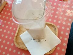 -滚猫咖啡·猫咖·猫友好撸猫(未来城店)