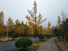 -浙江农林大学(东湖校区)