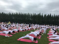 -黄海国家森林公园