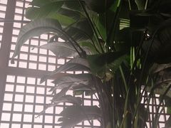 -管氏翅吧(地安门创始店)