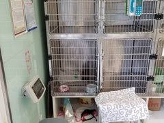 -悦宠动物医院(京丰分院)