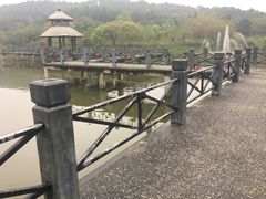 -田野绿世界