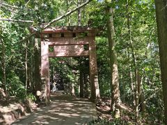 -凤栖山