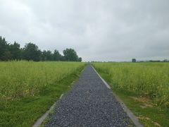 -汉长安城未央宫国家考古遗址公园