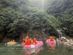 -安吉龙王山风景区