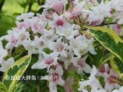 -济南植物园