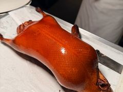 -四季民福烤鸭店(外滩外白渡桥店)