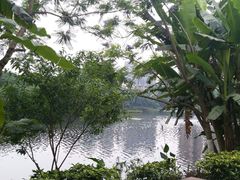 -重庆彩云湖湿地公园