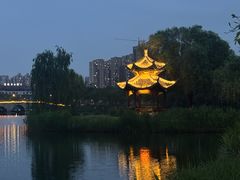 -眉山湿地公园(东坡区)