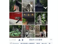 -大雁塔北广场音乐喷泉