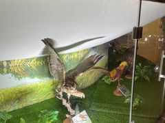 -下渚湖国家湿地公园科普馆