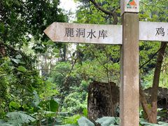 -火炉山森林公园