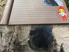 -雁荡山风景名胜区