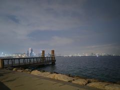 -深圳湾公园(南山区)