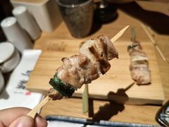 -鳥焱商店(王府大街店)