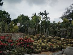 -胡里山炮台