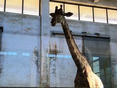 -石家庄市动物园