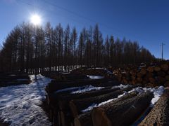 -塞罕坝国家级自然保护区