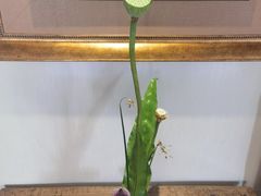 -京梟红茶楼(方恒购物中心店)