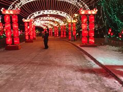 -沈阳奥体冰雪嘉年华