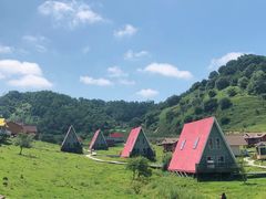 -关山草原