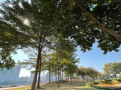 -二沙岛艺术公园