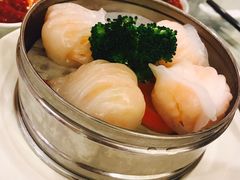-凯悦大酒楼