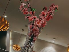 -友壹町寿司(佛山新DNA店)