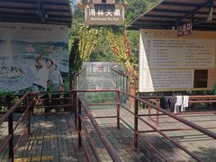 -海南槟榔谷黎苗文化旅游区