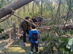 -青龙山国家森林公园