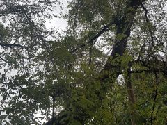 -红军总政治部旧址