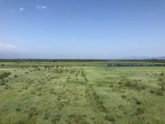 -野鸭湖国家湿地公园