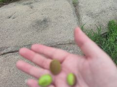 -白水寺森林公园