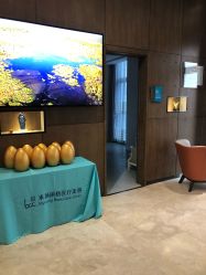 -北京米扬丽格医疗美容·联合丽格鼻整形中心