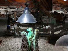 -北京园博大酒店