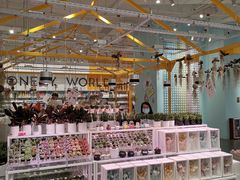 -KKV(深圳宏发大仟里店)