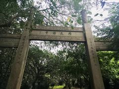-雨花胜境