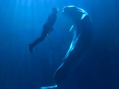 -多彩贵州城极地海洋世界